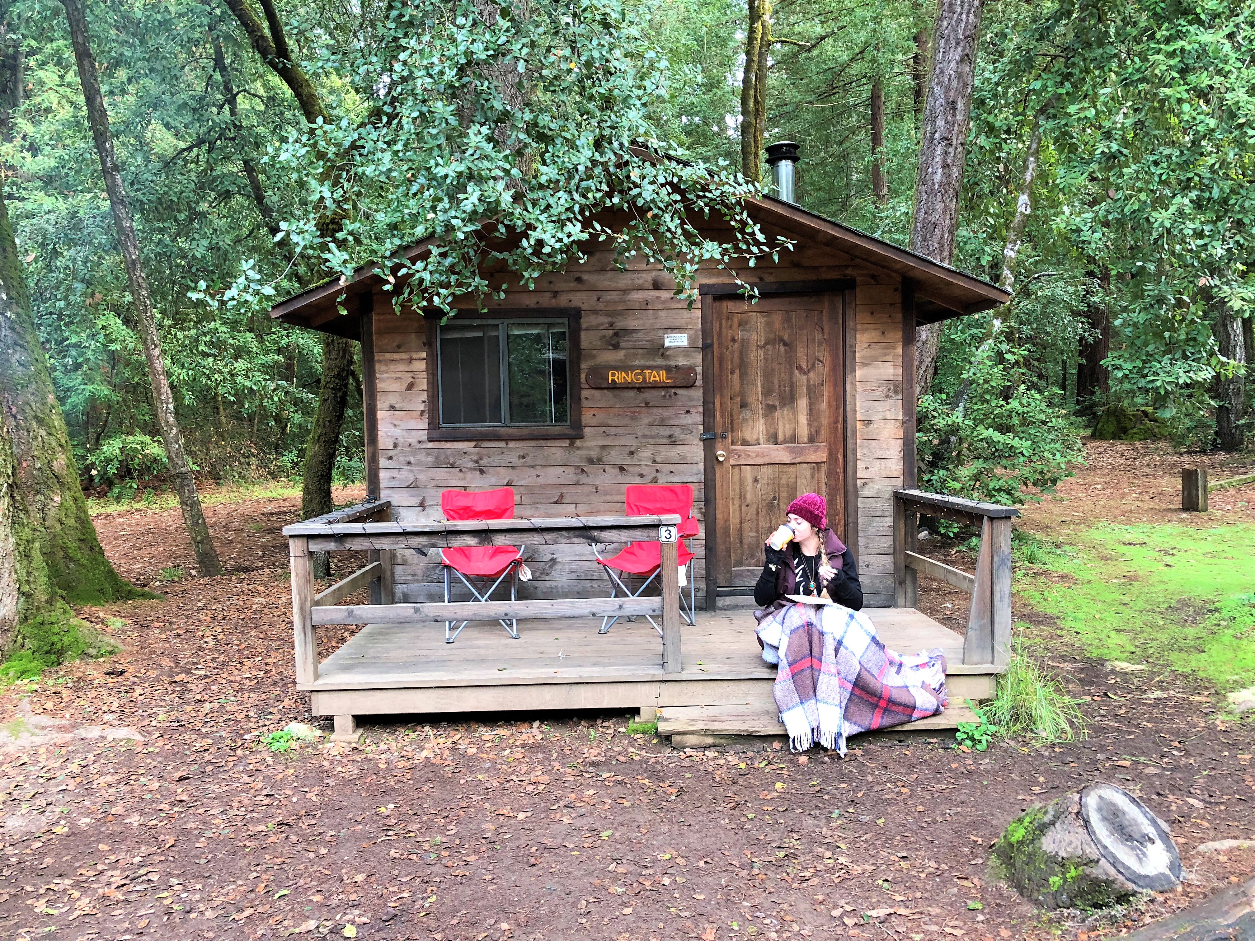 Redwoods Road Trip Adventure State Of Mind